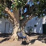 Llanitos * Guía de Isora