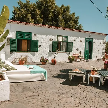 Llanitos Guía de Isora