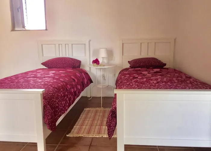 Llanitos Guía de Isora