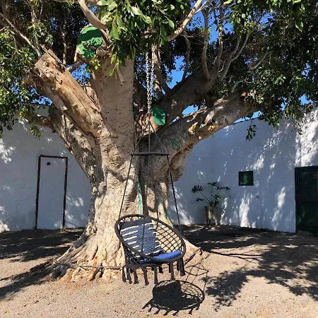 Llanitos * غيا ذي إسورا